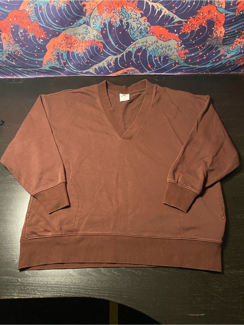 Champion Men's V-Neck Sweater in Brown